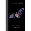 What Is It Like to Be a Bat? - Hardcover