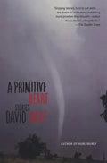 A Primitive Heart: Stories - Paperback
