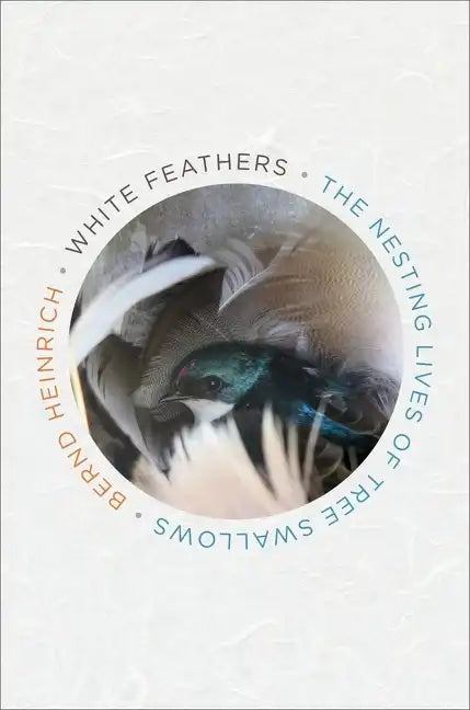 White Feathers: The Nesting Lives of Tree Swallows - Hardcover