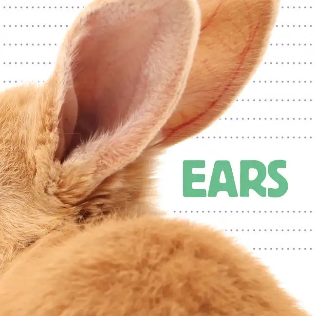 Ears - Board Book