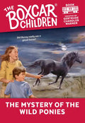 The Mystery of the Wild Ponies - Paperback