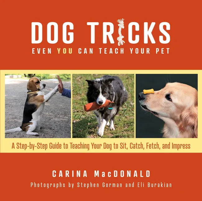 Dog Tricks Even You Can Teach Your Pet: A Step-By-Step Guide to Teaching Your Pet to Sit, Catch, Fetch, and Impress - Paperback