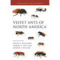 Velvet Ants of North America - Paperback