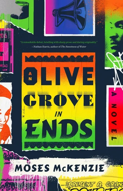 An Olive Grove in Ends - Hardcover