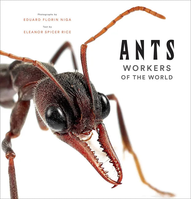 Ants: Workers of the World - Hardcover
