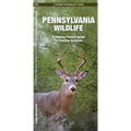 Pennsylvania Wildlife: A Folding Pocket Guide to Familiar Animals - Hardcover