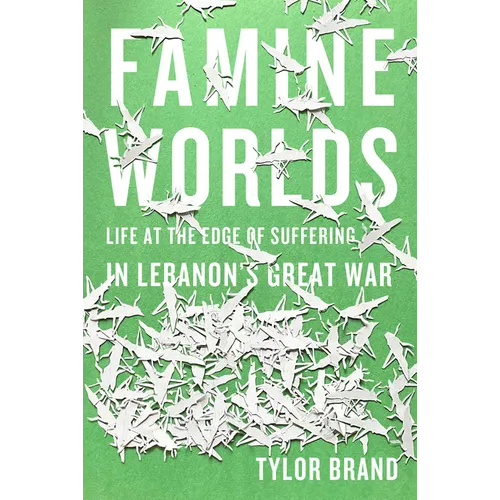 Famine Worlds: Life at the Edge of Suffering in Lebanon's Great War - Paperback