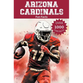 Arizona Cardinals Fun Facts - Paperback