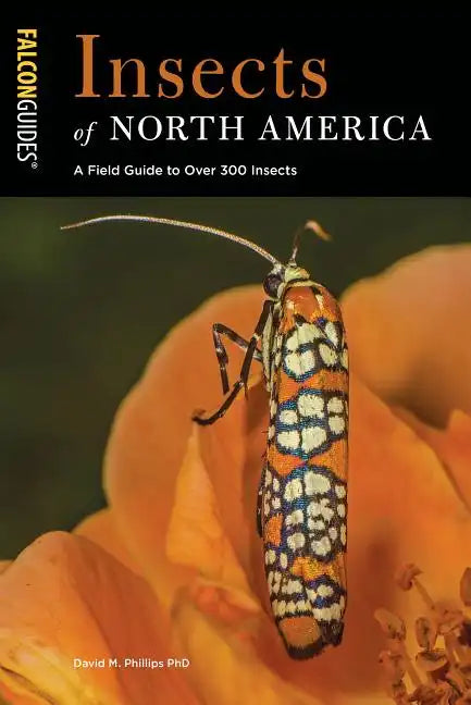 Insects of North America: A Field Guide to Over 300 Insects - Paperback