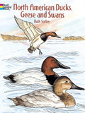North American Ducks, Geese and Swans Coloring Book - Paperback