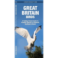 Great Britain Birds: A Folding Pocket Guide to Familiar Species of England, Scotland & Wales
