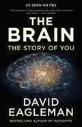 The Brain: The Story of You - Paperback
