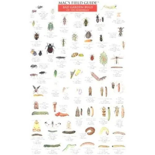 Mac's Field Guides: Northeast Garden Bugs