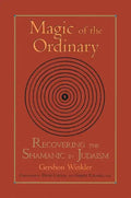 Magic of the Ordinary: Recovering the Shamanic in Judaism - Paperback