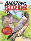 Amazing Birds Coloring Book - Paperback
