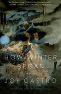 How Winter Began: Stories - Paperback