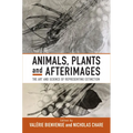 Animals, Plants and Afterimages: The Art and Science of Representing Extinction - Paperback
