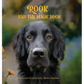 Rook and the Magic Door: Written and Illustrated by Danica Barreau - Hardcover