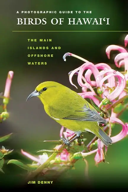 A Photographic Guide to the Birds of Hawai'i: The Main Islands and Offshore Waters - Paperback