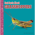 Fast Facts about Grasshoppers - Paperback