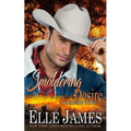Smoldering Desire - Paperback