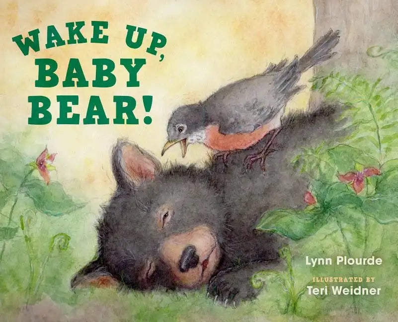 Wake Up, Baby Bear! - Hardcover