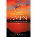 Between Yes and Amen - Paperback