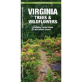 Virginia Trees & Wildflowers: An Introduction to Familiar Species - Paperback