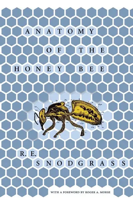 Anatomy of the Honey Bee - Hardcover