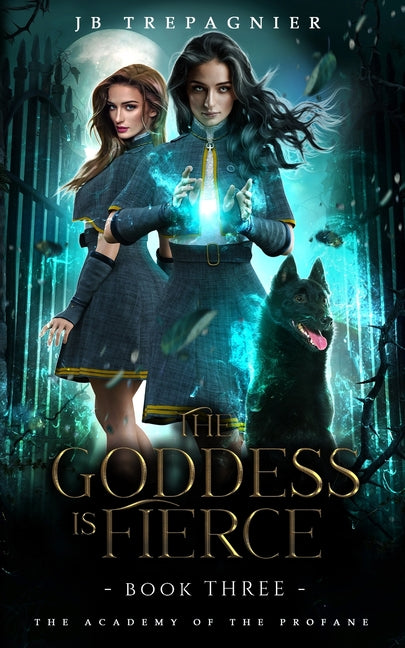The Goddess is Fierce: A Paranormal Academy Why Choose Romance - Paperback