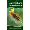 Caterpillars of North America: Easily Identify 90 Common Butterflies and Moths - Spiral