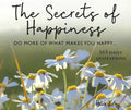 365 Secrets of Happiness: Do More of What Makes You Happy - Spiral