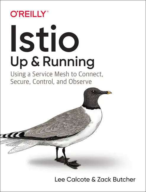 Istio: Up and Running: Using a Service Mesh to Connect, Secure, Control, and Observe - Paperback