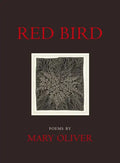 Red Bird - Paperback