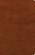CSB Thinline Bible, Burnt Sienna Leathertouch - Imitation Leather