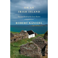 On an Irish Island: The Lost World of the Great Blasket - Paperback