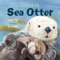 The Secret Life of the Sea Otter - Hardcover