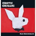 Erotic Origami - Hardcover