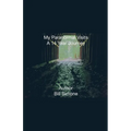 My Paranormal Visits A 14 Year Journey - Paperback