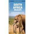South Africa Wildlife: A Folding Pocket Guide to Familiar Animals in the South African Region - Paperback