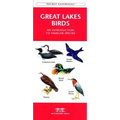 Urban Wildlife: A Folding Pocket Guide to Familiar Animals