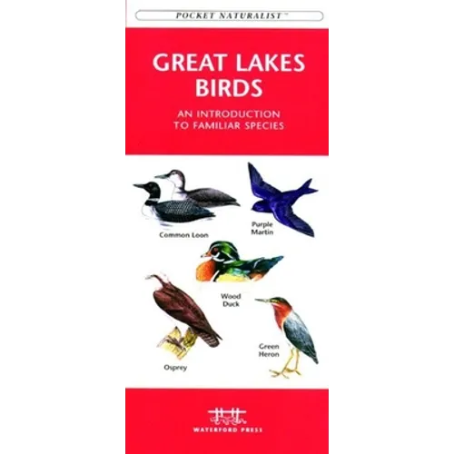 Urban Wildlife: A Folding Pocket Guide to Familiar Animals