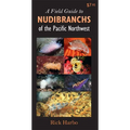 A Field Guide to Nudibranchs of the Pacific Northwest - Paperback