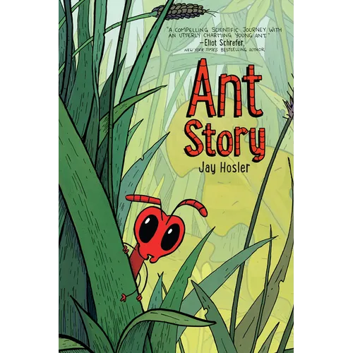 Ant Story - Hardcover