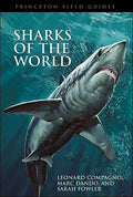 Sharks of the World - Paperback
