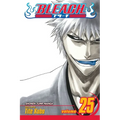 Bleach, Vol. 25 - Paperback