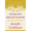 Insight Meditation: The Practice of Freedom - Paperback