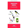 Colorado Trees & Wildflowers: An Introduction to Familiar Species