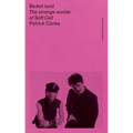 Bedsit Land: The Strange Worlds of Soft Cell - Paperback