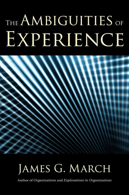The Ambiguities of Experience - Paperback